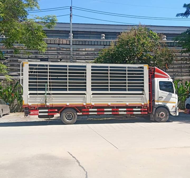 ขนส่งหนักระดับโปรด้วย “รถเทรลเลอร์รับจ้าง”